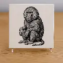 tile_coaster_baboon.webp